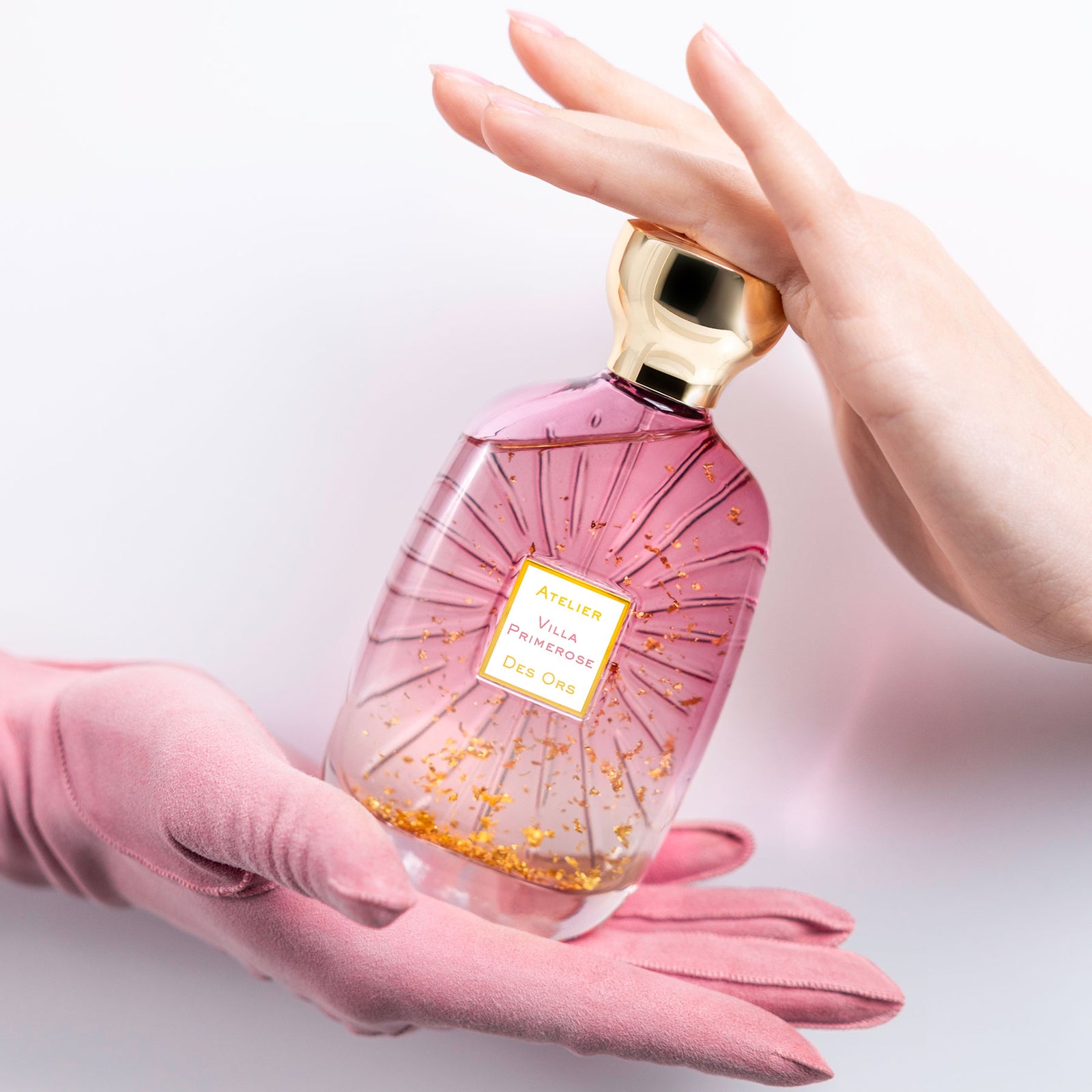 ヴィラ プリメローズ – NOSE SHOP