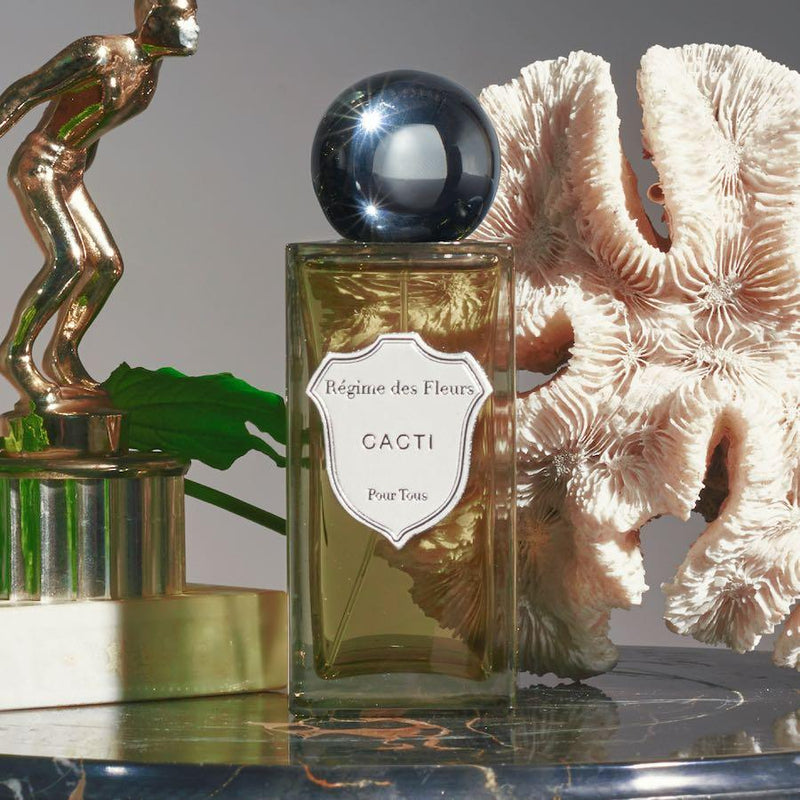 キャクタイ｜サボテン – NOSE SHOP