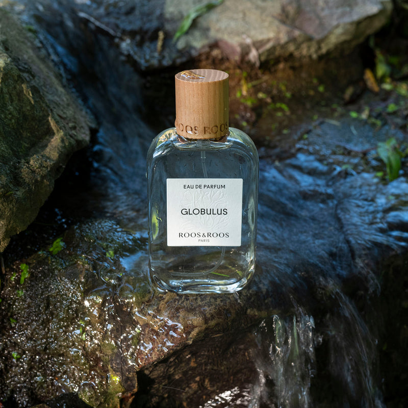 グロブリュス – NOSE SHOP