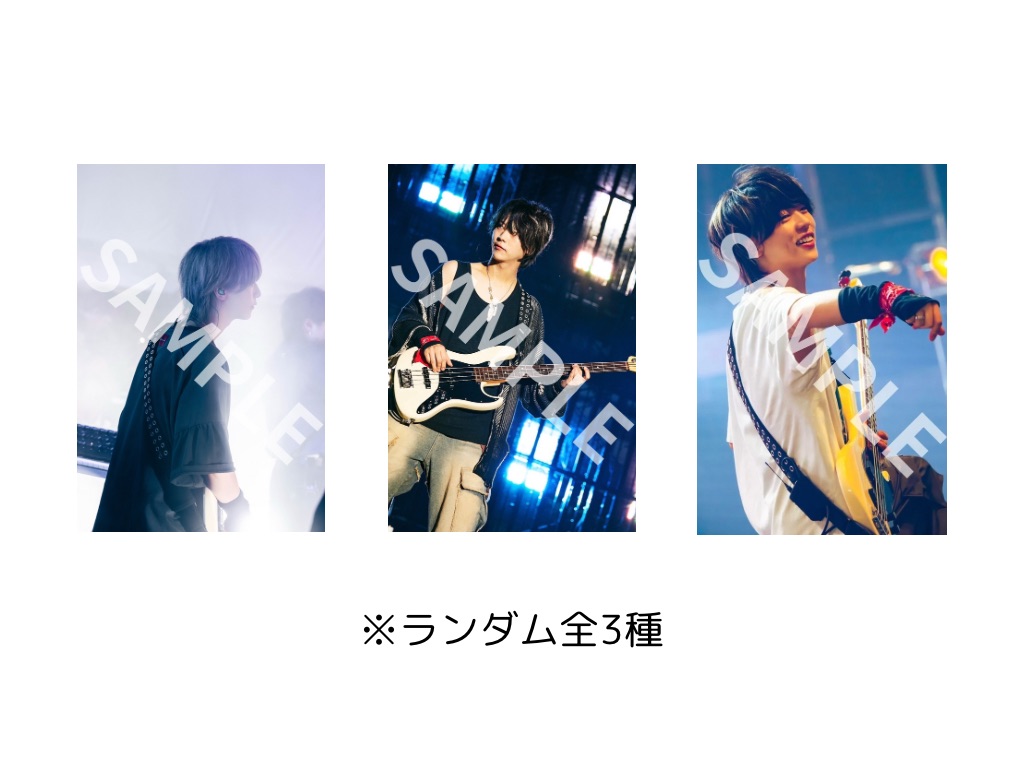 Novelbright Official Fanclub『NOVELCITY』会員限定《圭吾Produce