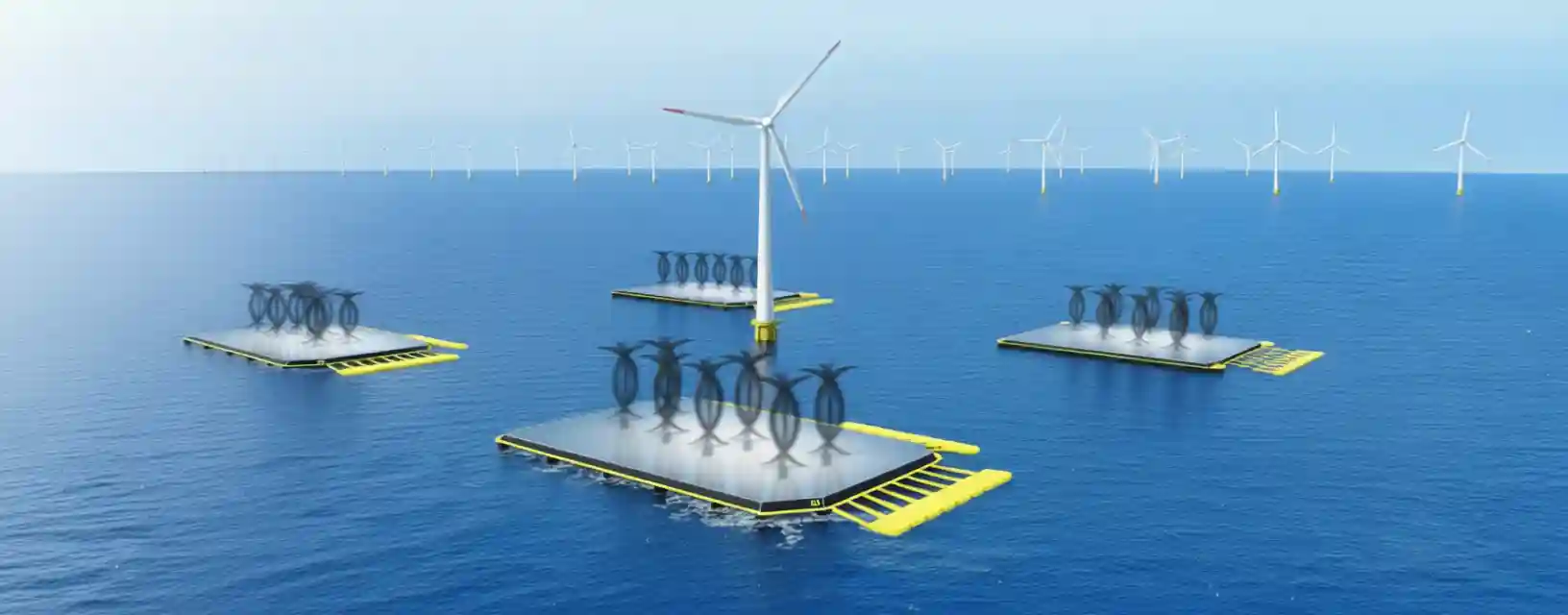 Medi Wave 850H - NoviOcean