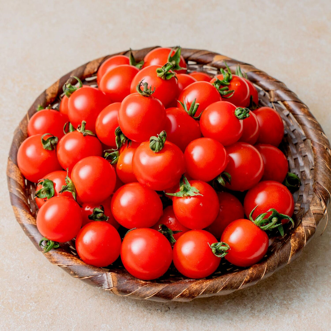 北海道栗山町産】カラフルミニトマト（1kg） – NORTH DISH