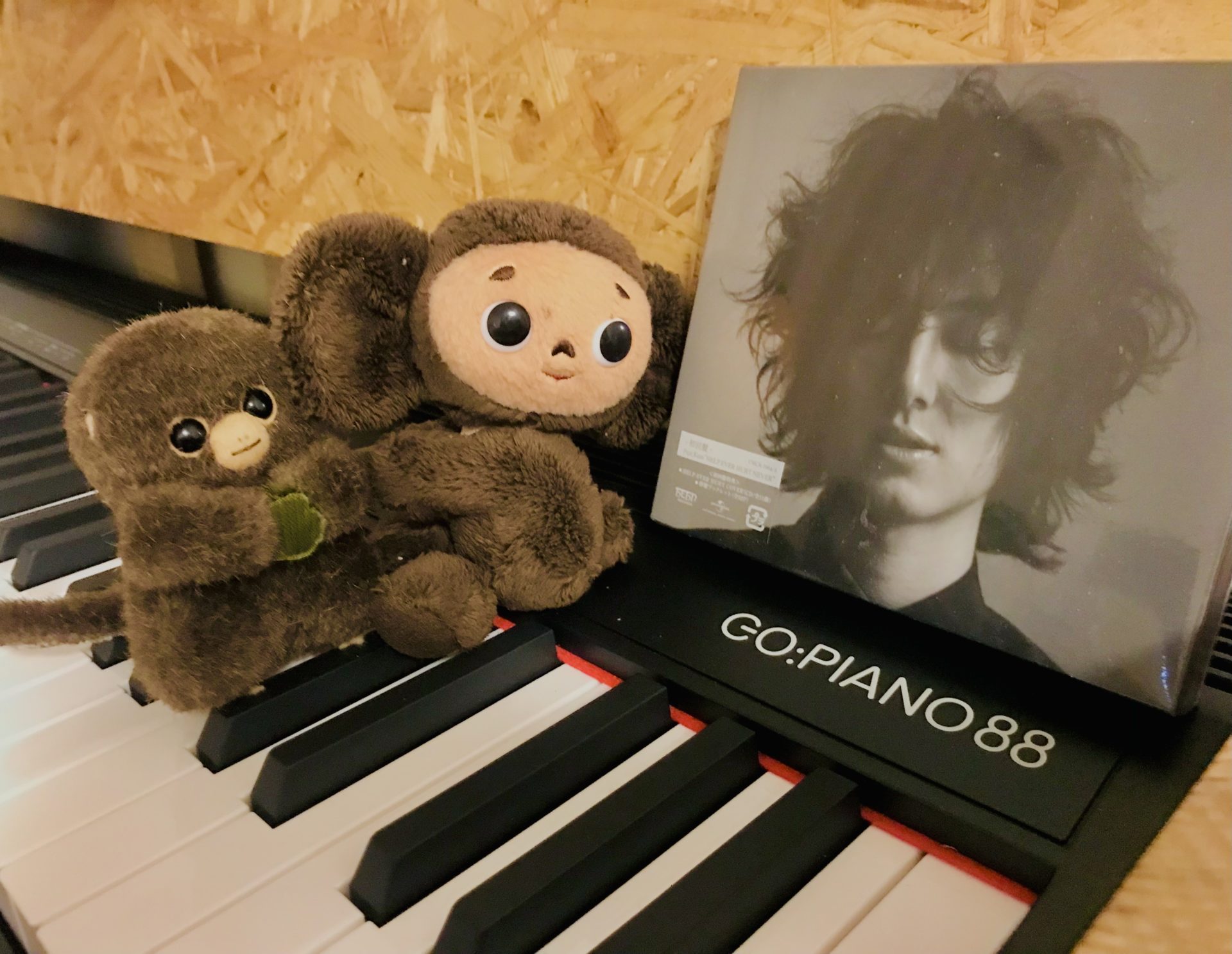 藤井風さんもご愛用の電子ピアノだった…。寝そべり紅白の配信で