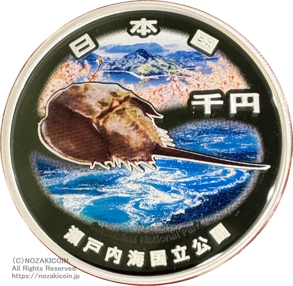 IMG_1342_600x.jpg?v=1736490520