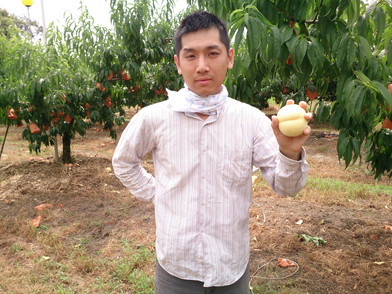 河内長野市の中谷農園紹介ブログ！ ｜ 農業ドットコム