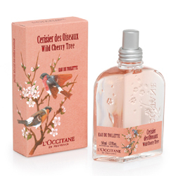 L'OCCITANE｜ロクシタンの新しい春の香り「ワイルドチェリーツリー