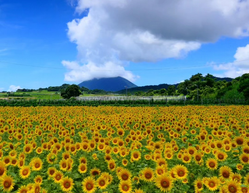 5d6200c1af5395bf86a07103c34046