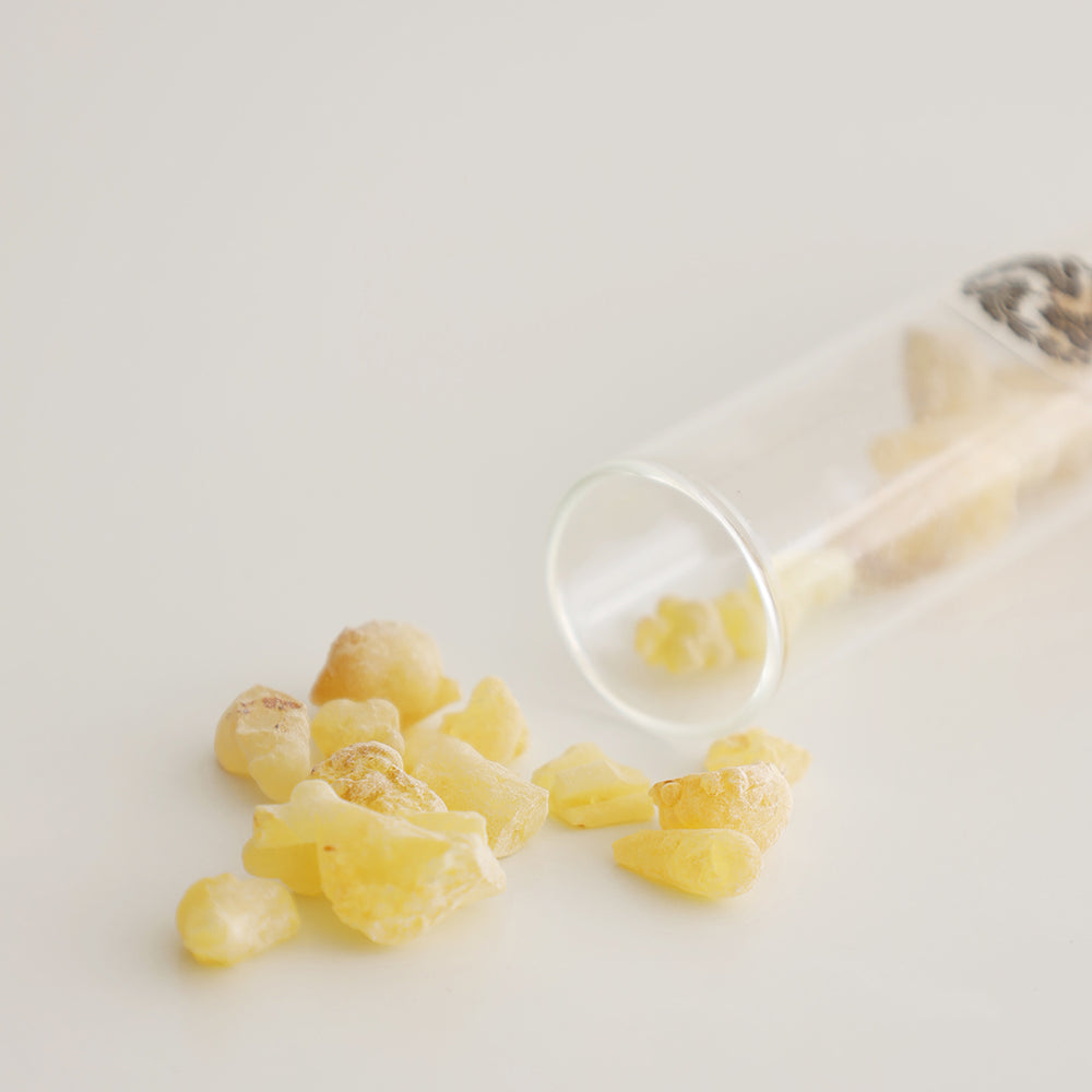 フランキンセンス 樹脂香 12g – Nu Store