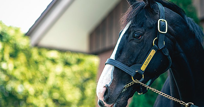 三代前まで全部カタカナは初めて」“最強馬”イクイノックスは『世界一の