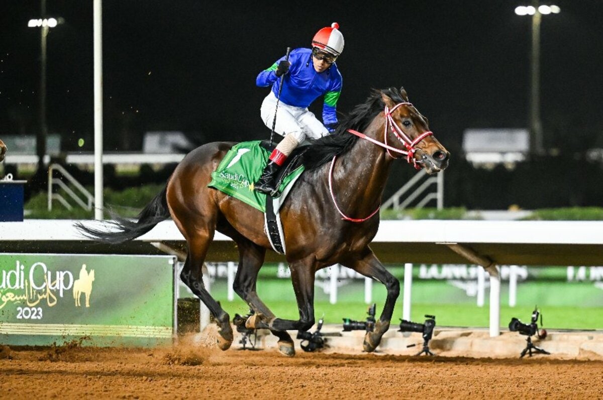 超貴重#ドバイワールドカップ#競馬#サウジアラビア#競争馬#世界一#最終