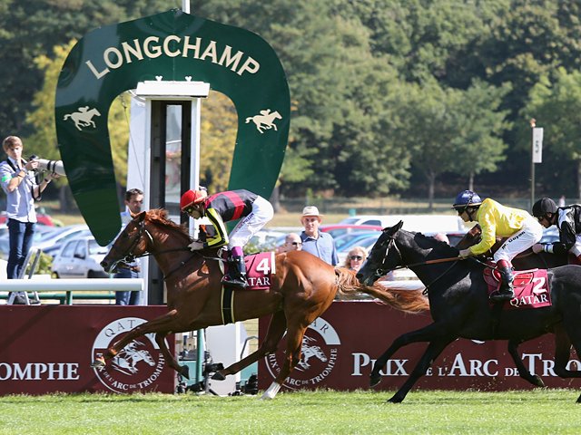 凱旋門賞へ視界良好、充実のオルフェーヴル。～周到な準備で日本馬初