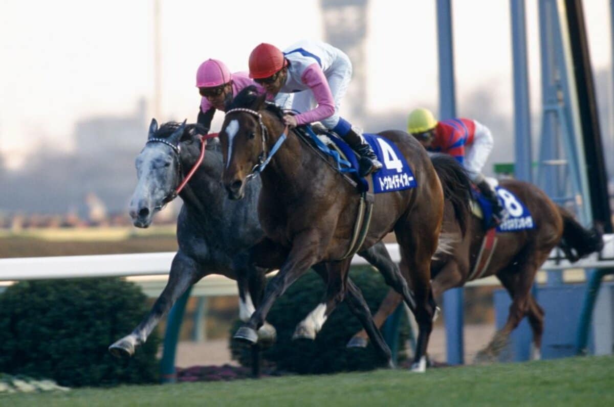 あなたが選ぶ最高の有馬記念」ベスト5発表！ オグリキャップか
