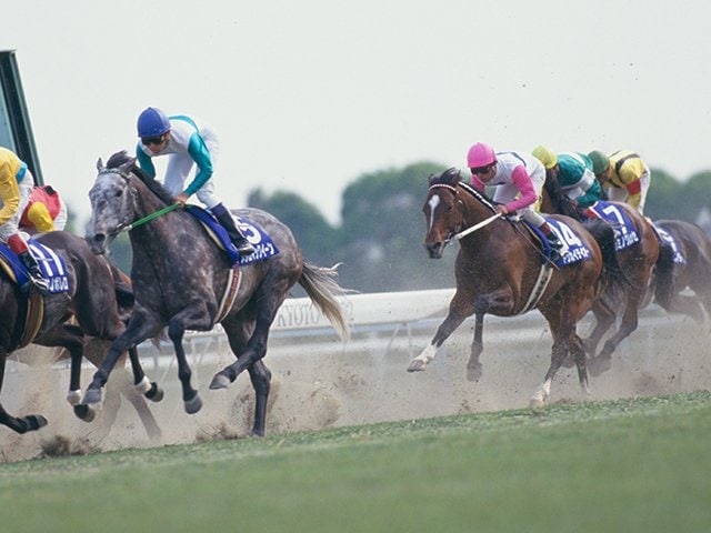 天下分け目の天皇賞・春「トウカイテイオーvsメジロマックイーン」を