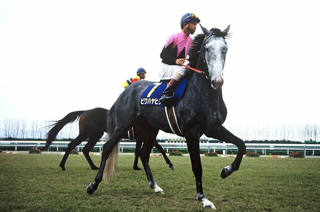 ギャラリー】秘蔵写真！ディープインパクト、オルフェーヴル、オグリ