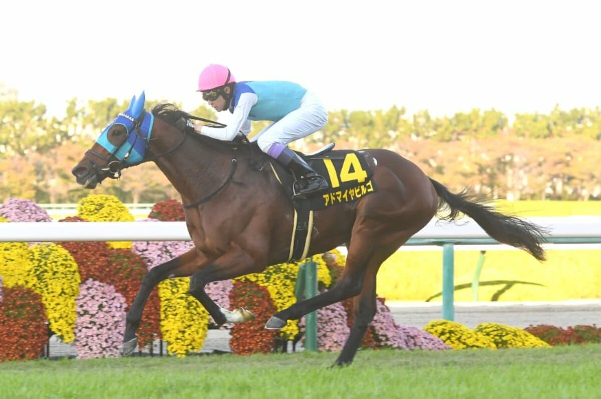 6億円で0戦0勝」の馬も…セレクトセール“高額落札馬は走らない”は真実か