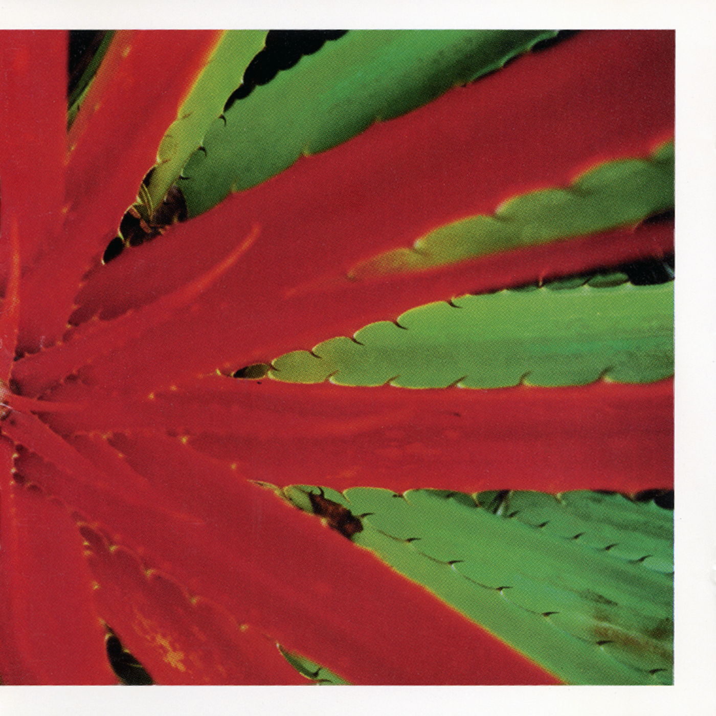 This Afternoons Malady – Numero Group