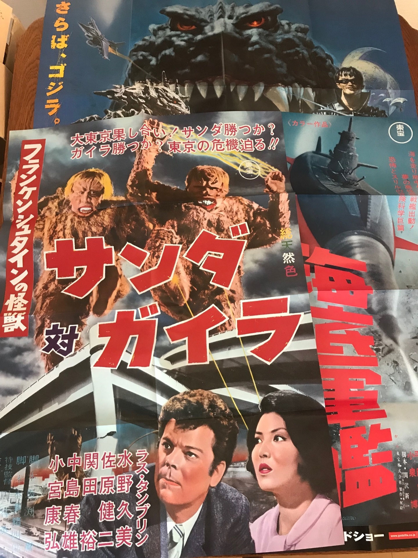 ゴジラ全映画DVDコレクターズBOX VOL.38」: ぬいぐるみとのピクニック