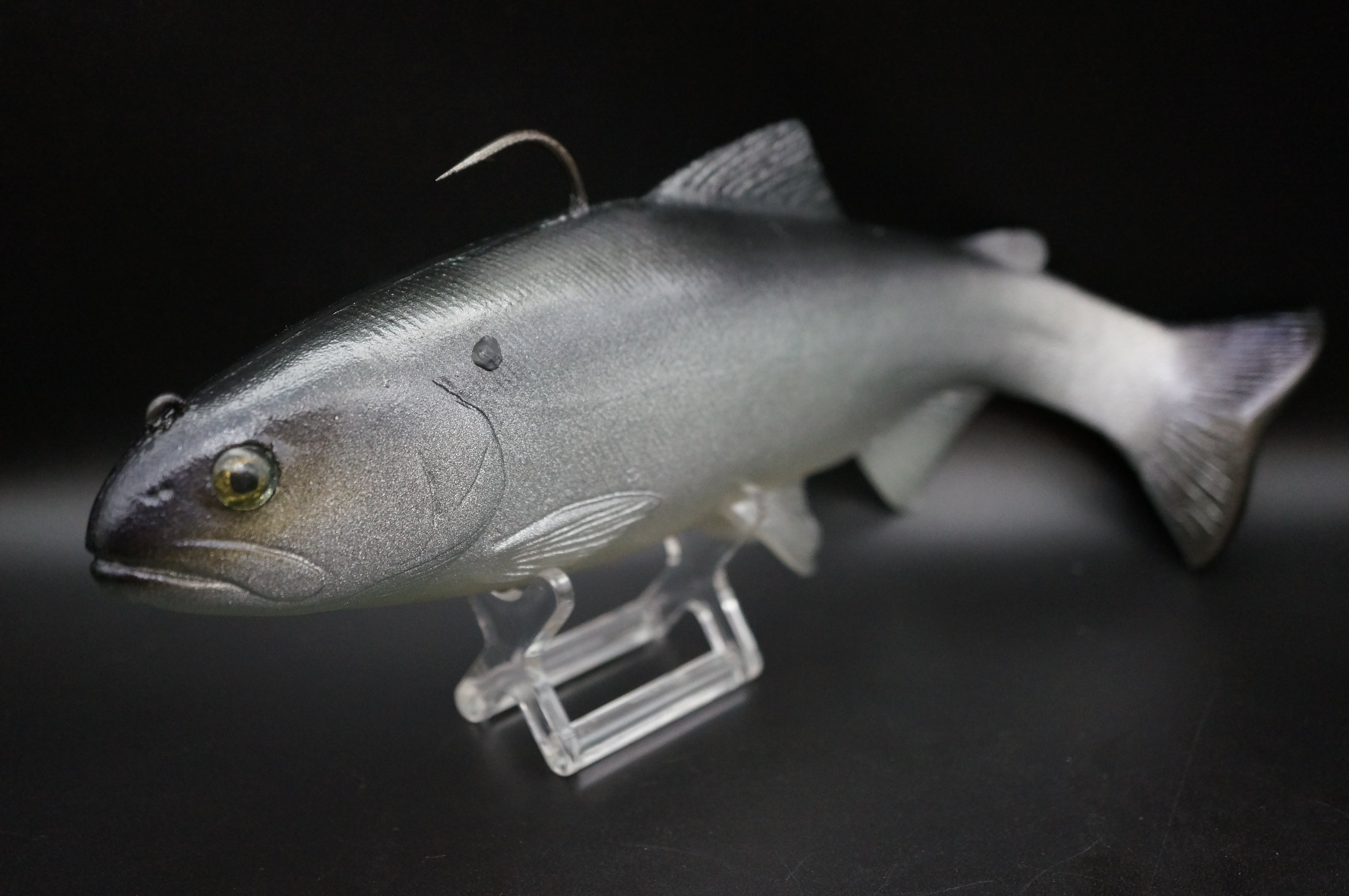 ハドルトラウト10インチ TYPE-12 – 主 -NUSHI-