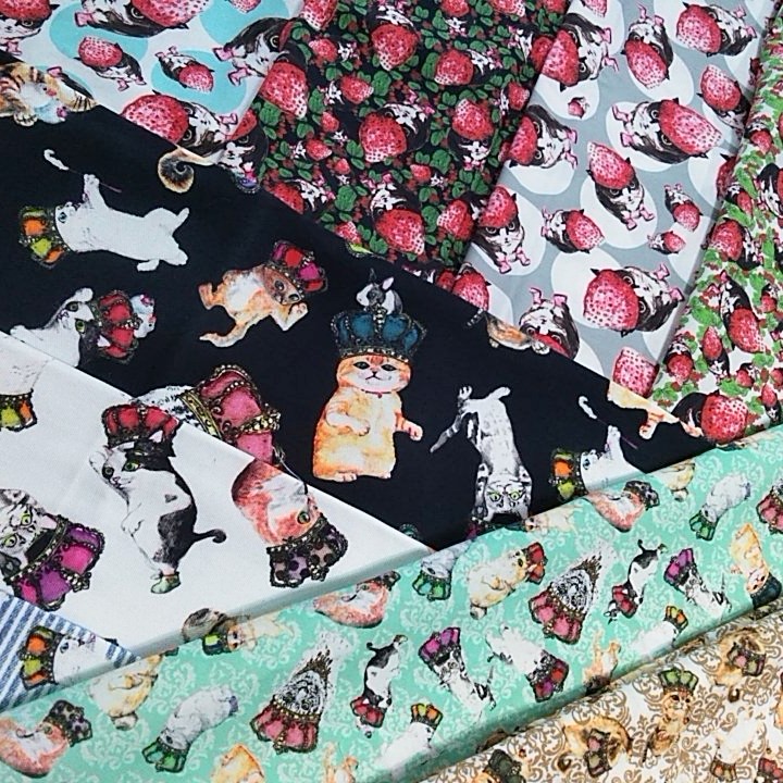 ねこねこ 2025夏虹猫本舗新柄 ねこねこ 2025夏虹猫本舗新柄 ねこねこ様