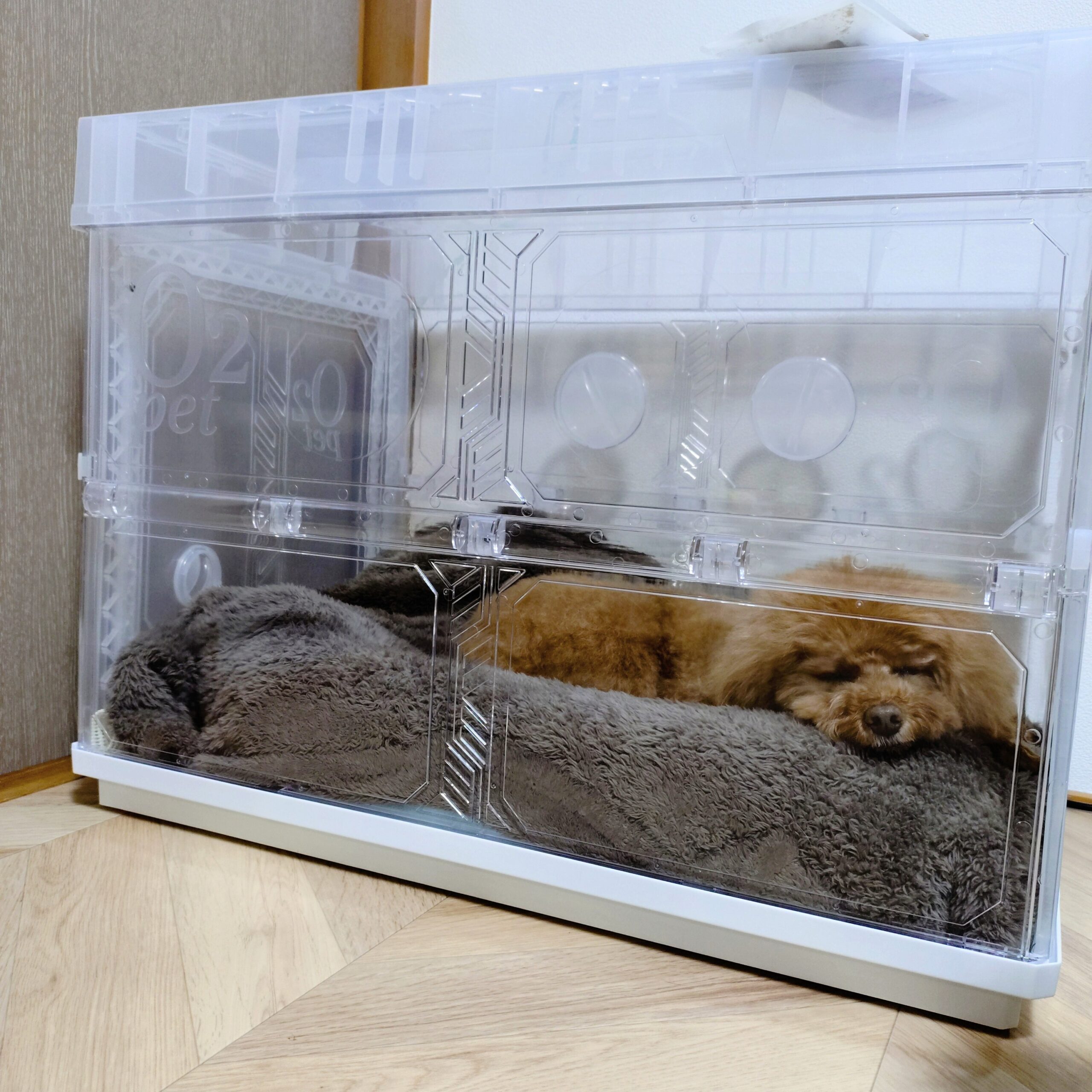 O2 Charge 通気口付き アクリルケージ ペット用 楽天市場】オーツー