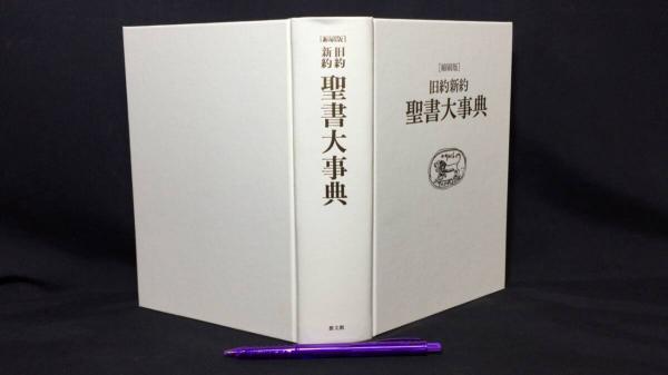 L915洋書古書 1916年発行 大変希少なエイナルネイマンの大型本 L915
