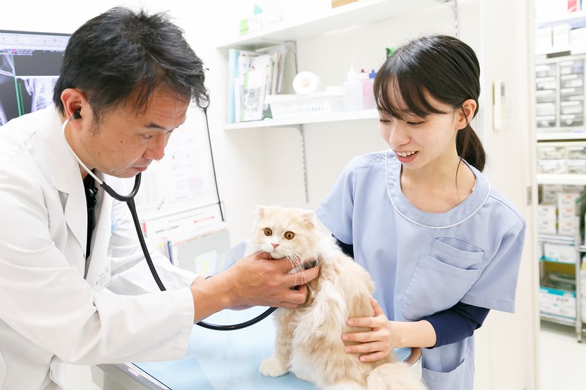 動物病院で、受付・トリミング・看護すべての分野で活躍できるのが一番