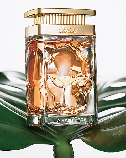 メゾンのシンボルとの新たな出会い。その扉を香りから開けてみよう