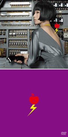 非売品レア】椎名林檎 私の発電 促販パネル A4 非売品レア】椎名林檎 私の