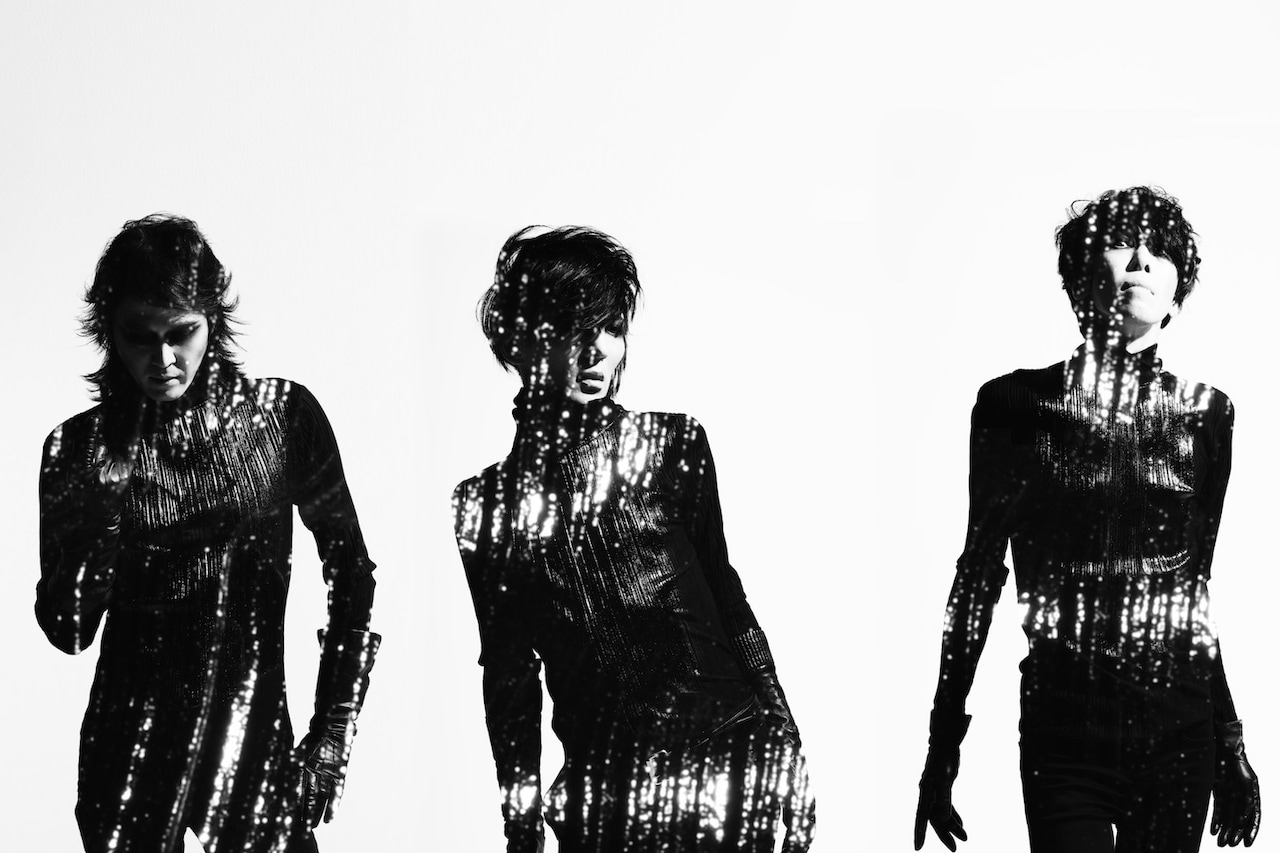 石井秀仁 GOATBED ゴートベッド 関連CD DVD 計20 点 まとめ売り