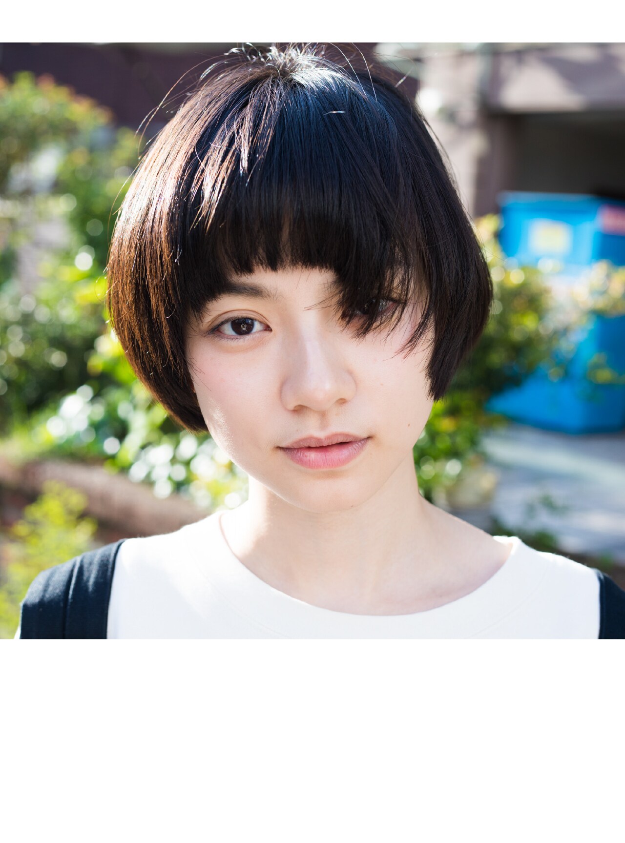 銀杏BOYZ、武道館公演ライブDVD＆Blu-ray「デイドリーム 祈り」発売日