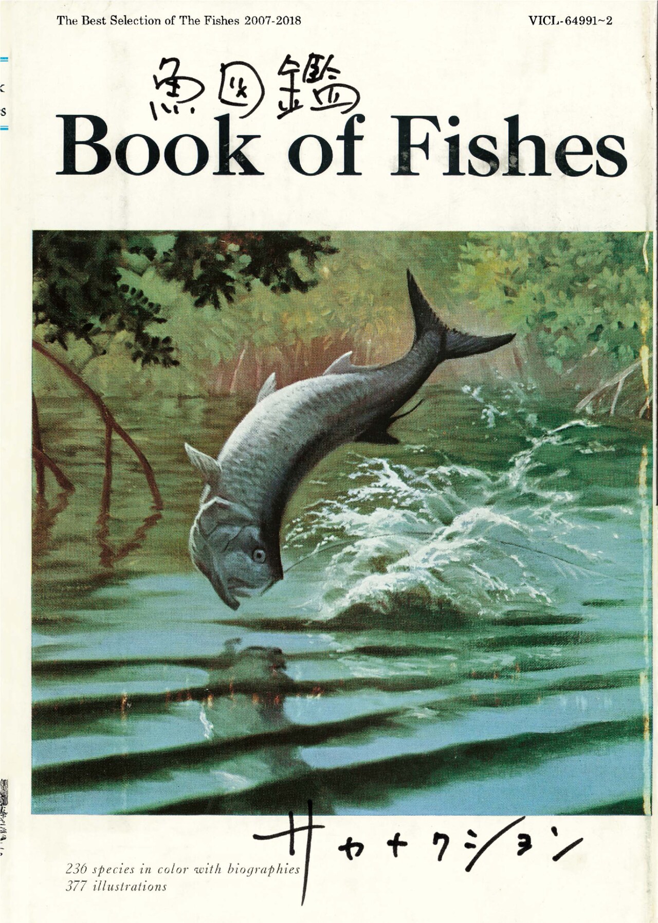 サカナクション「魚図鑑」完全生産限定盤プレミアムBOXに付属する「魚