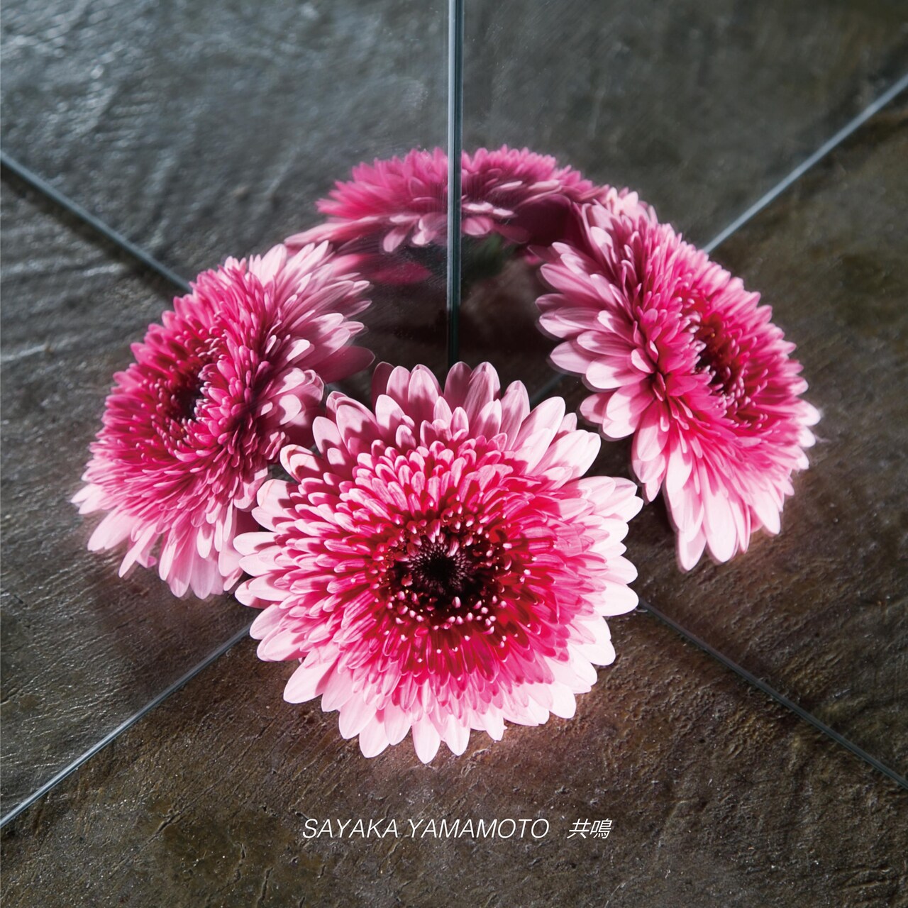 山本彩がZARD好きのゲストと語り合うオールナイトニッポンGOLD放送