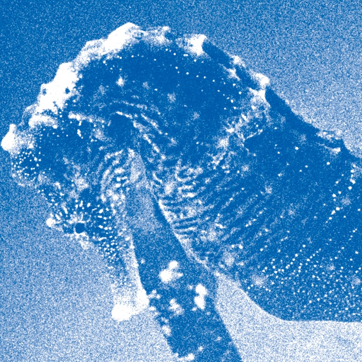 青葉市子「アダンの風」オーチャードホール公演のコンサートアルバムを