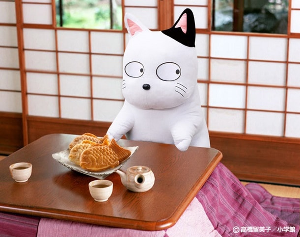 こたつ猫 法被 うる星やつら こたつ猫 法被 うる星やつら こたつ猫 法