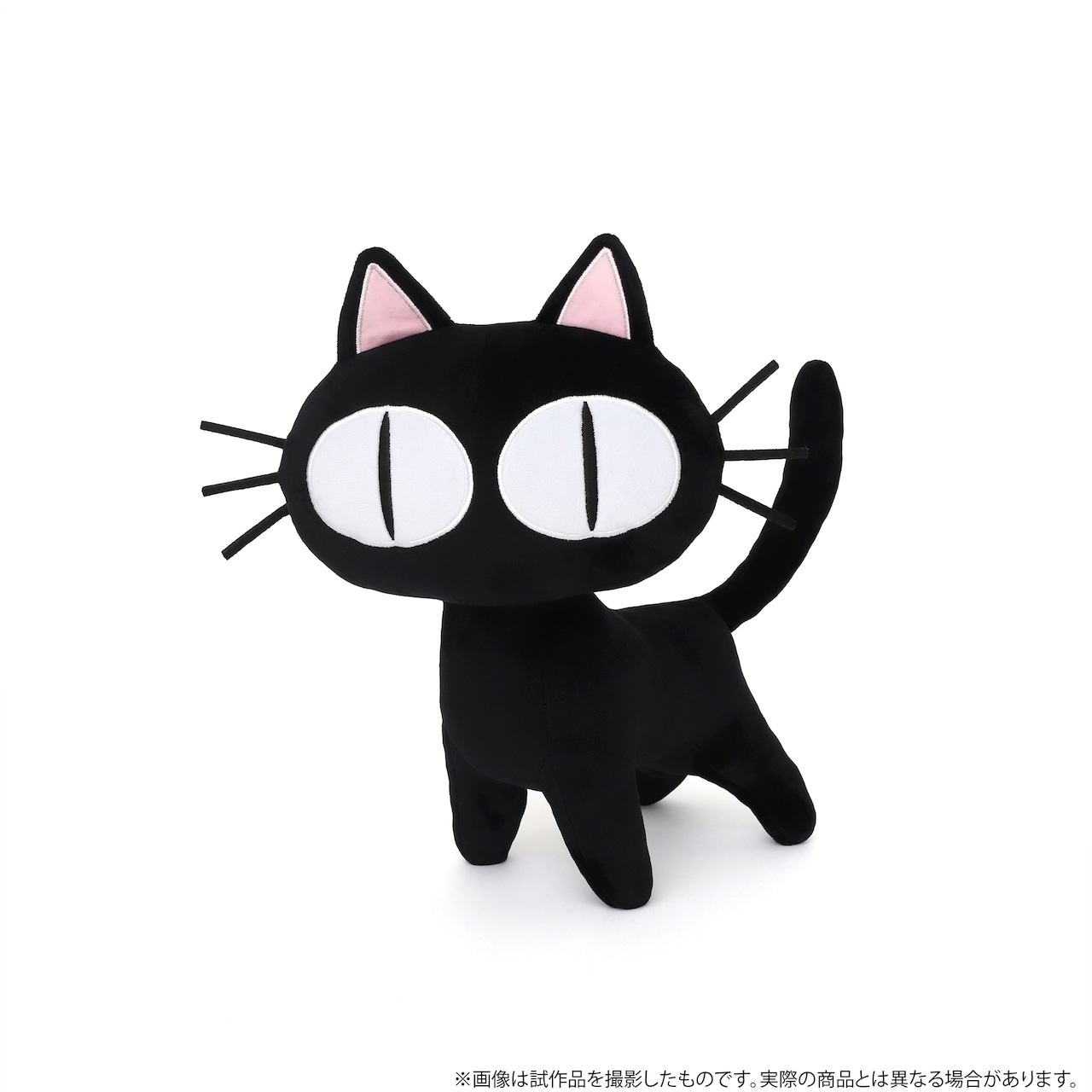 黒猫Jack(プロフ必読) 0527 黒猫Jack(プロフ必読) 0527 黒猫Jack