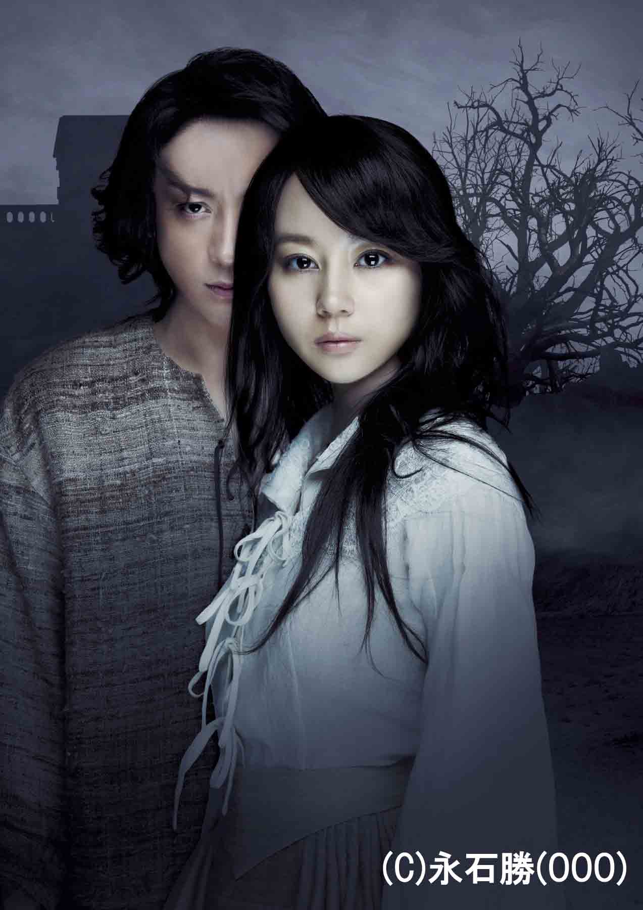 堀北真希と山本耕史を結びつけた恋愛劇、「嵐が丘」BD/DVD発売 - 映画