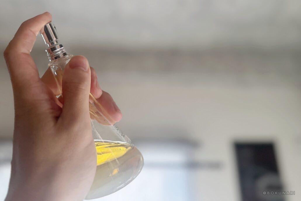 visvim】SUBSECTION ROOM SPRAY NO.1/F.I.L. レビュー