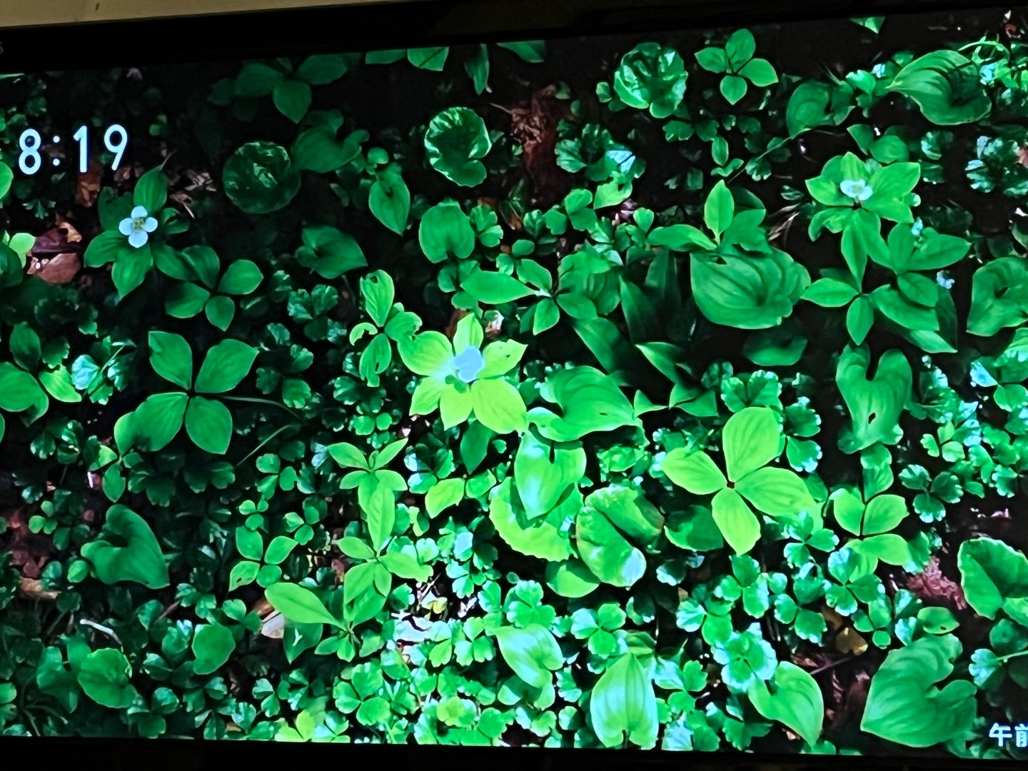 小さな旅 40周年: 中西繁アート・トーク