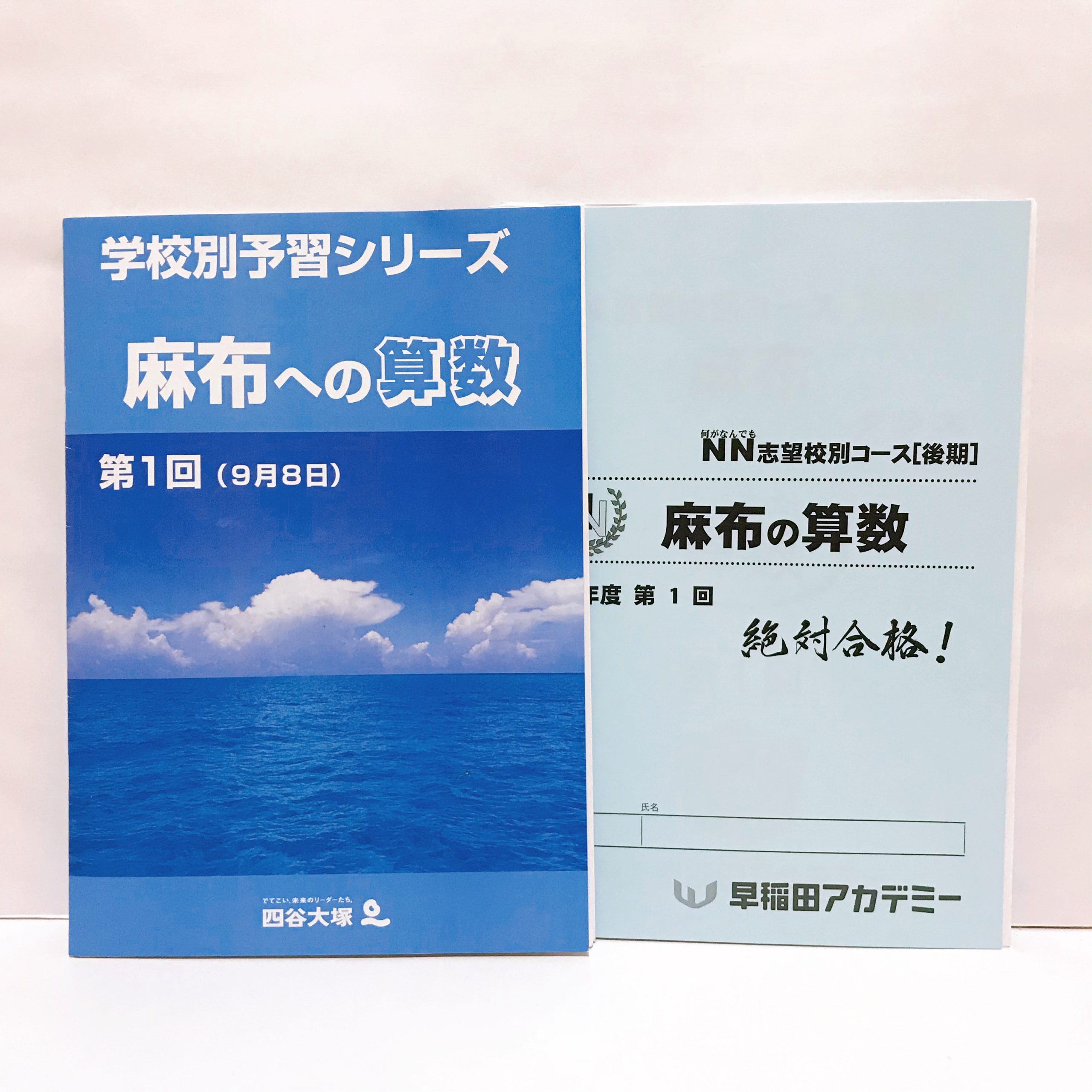 新品 書き込みなし】 NN早稲田 早稲田の社会 土曜講座 教材一式 最新 1