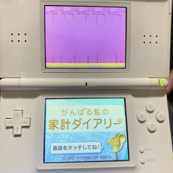 ニンテンドーDS【touch！GENERATIONS作品まとめ20本】 – okaのデジモン