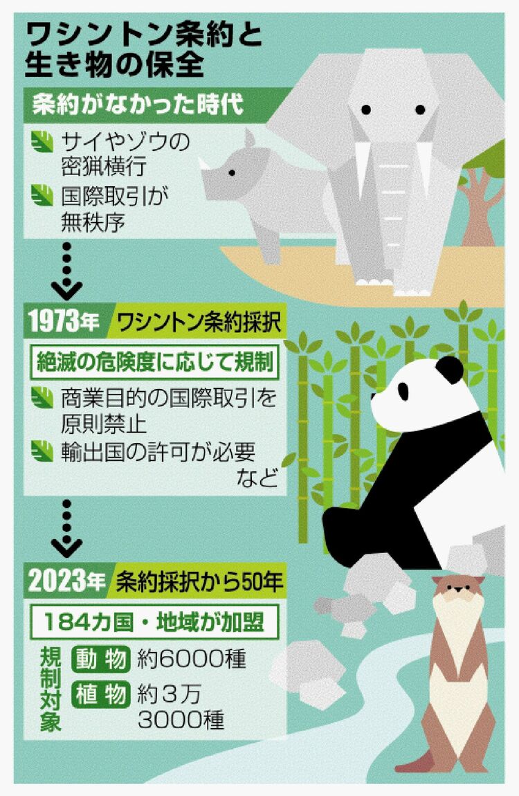 ワシントン条約50年］生き物たち どう守る 絶滅招く大量取引 国際