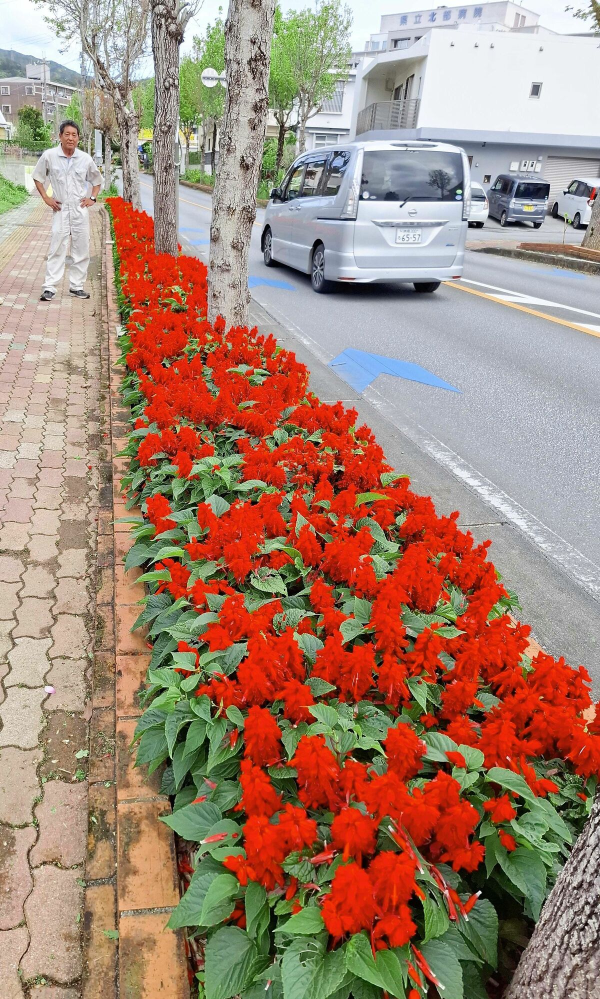 img_0c7326606b6bad0e350f5138fe