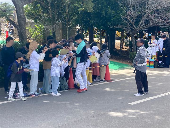 阪神タイガース春季沖縄キャンプの楽しみ方～見学の仕方、限定グッズ