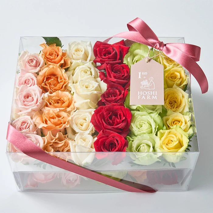 ホシファーム 生花バラ デコレーションローズ フラワーシャワー・バス