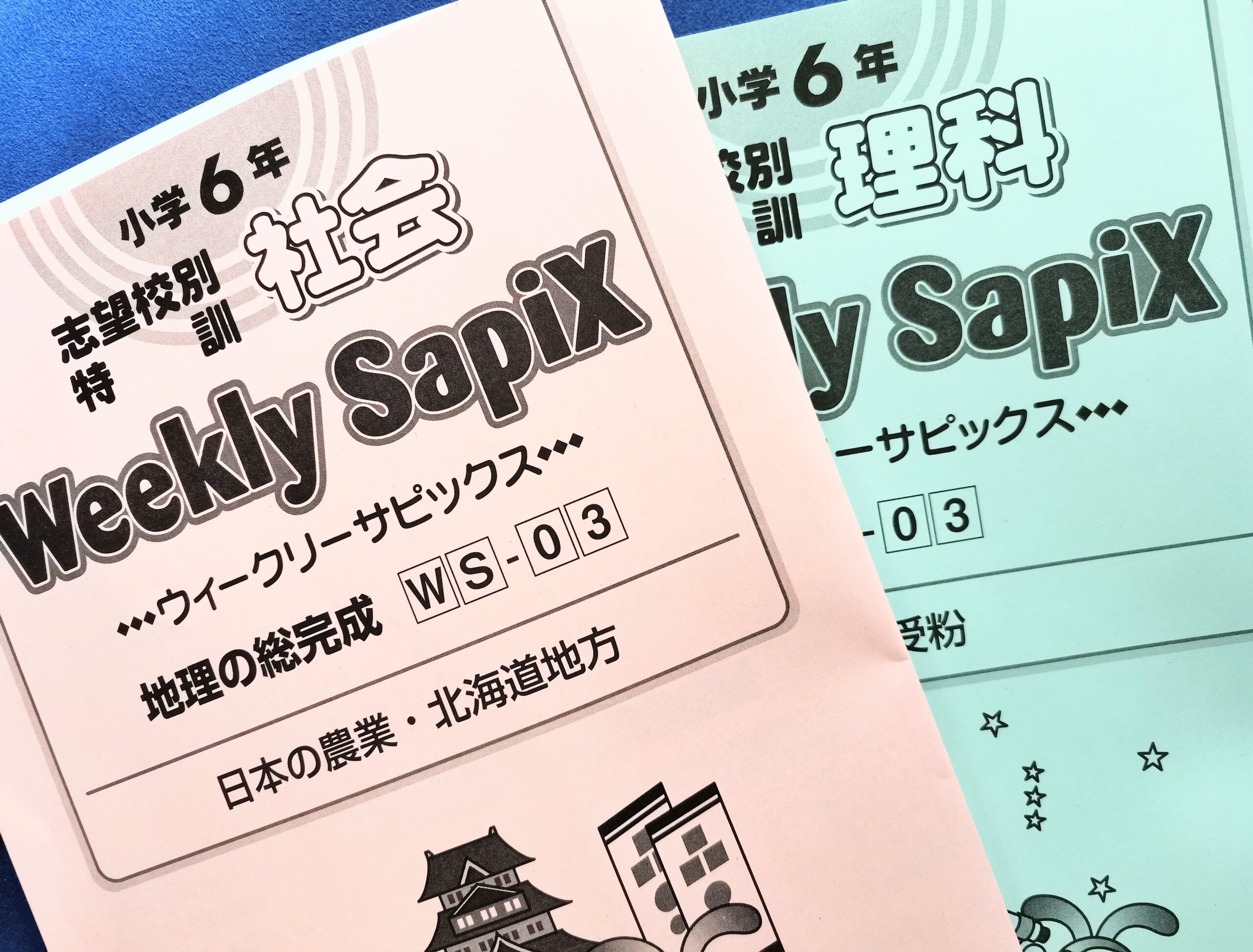 SAPIX】新6年として3週経過、やることが多すぎる - 奥様は女医