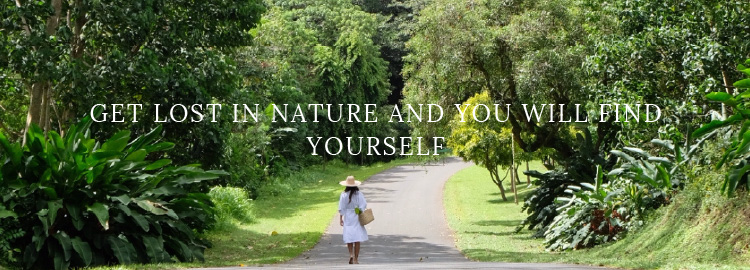 オハナヒーリング インスティテュート OHANA HEALING INSTITUTE