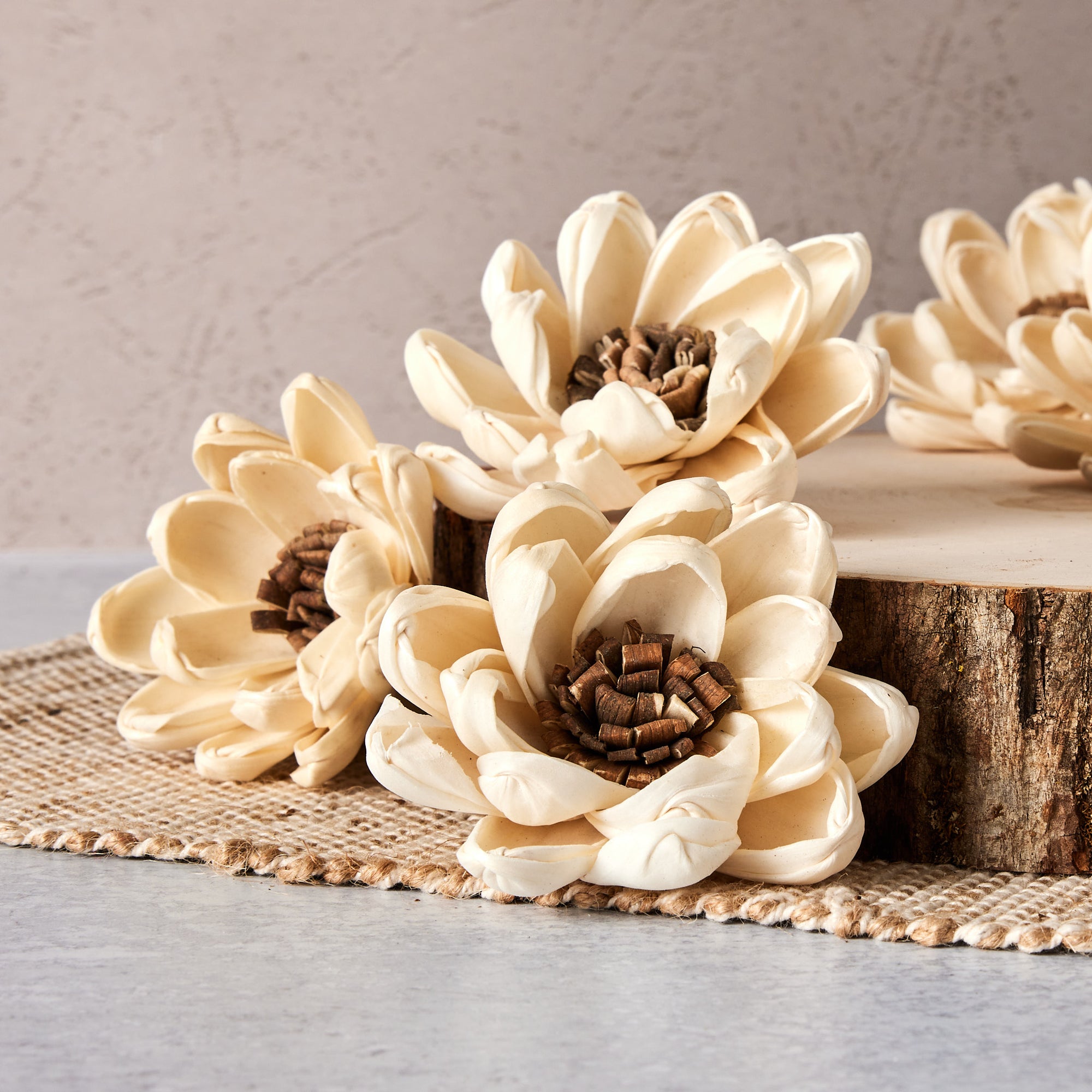 Spellbound Flower - Sola Wood Flowers - sold by the dozen - Oh