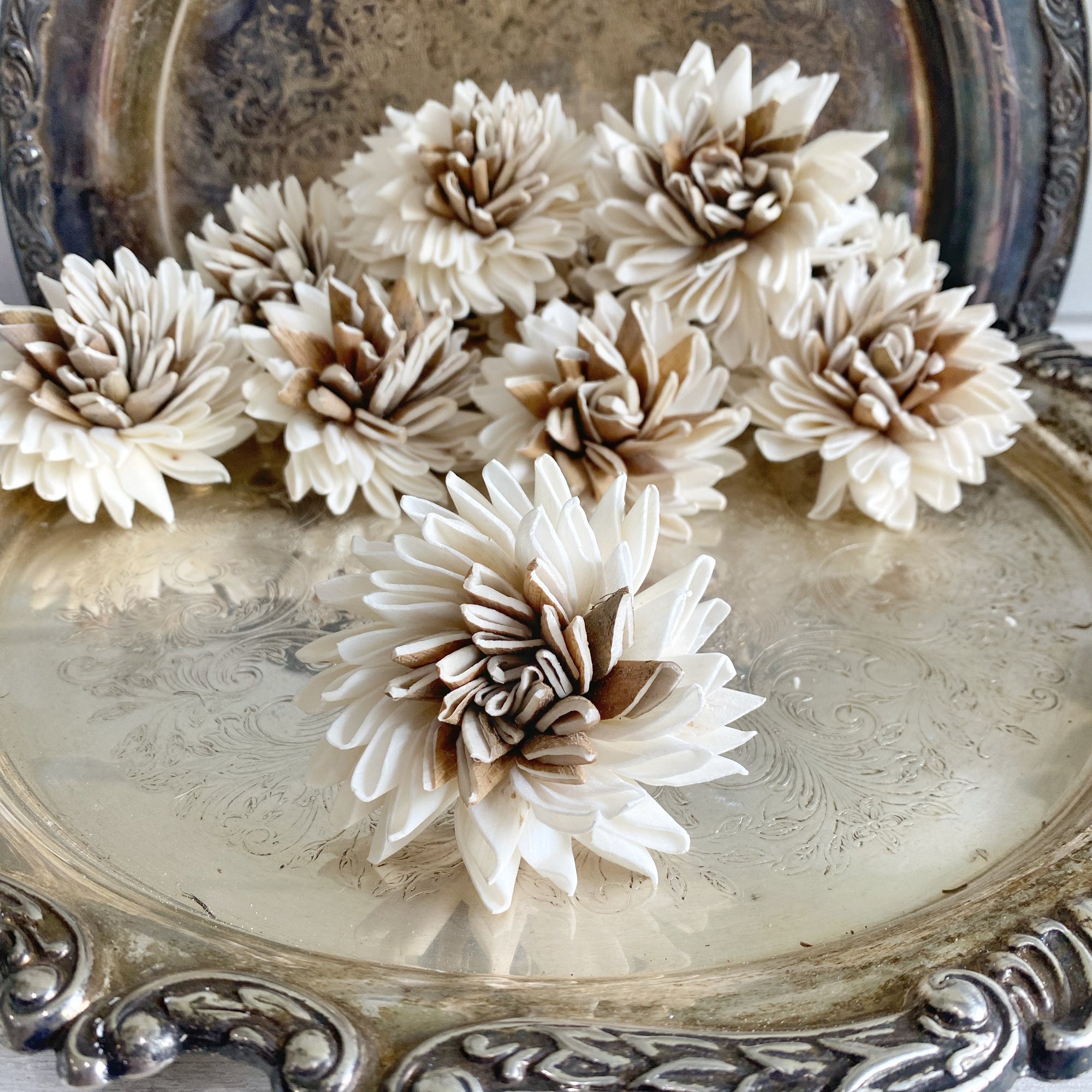 Winifred Sola Wood Flower | Set of 12 - Oh! You're Lovely - Sola