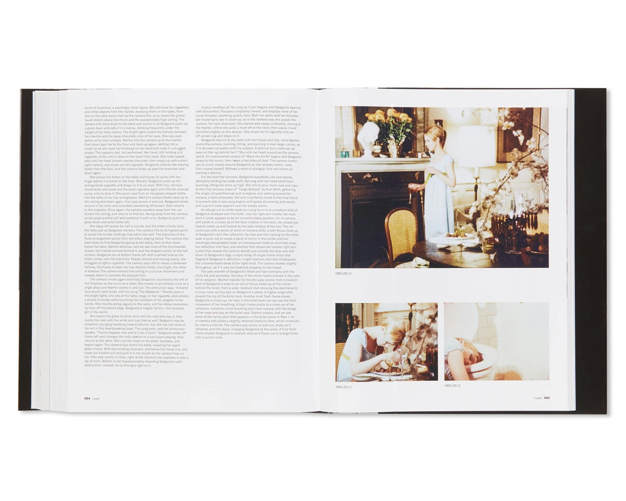 THE FILMS OF ANDY WARHOL CATALOGUE RAISONNE 1963-1965：アンディ