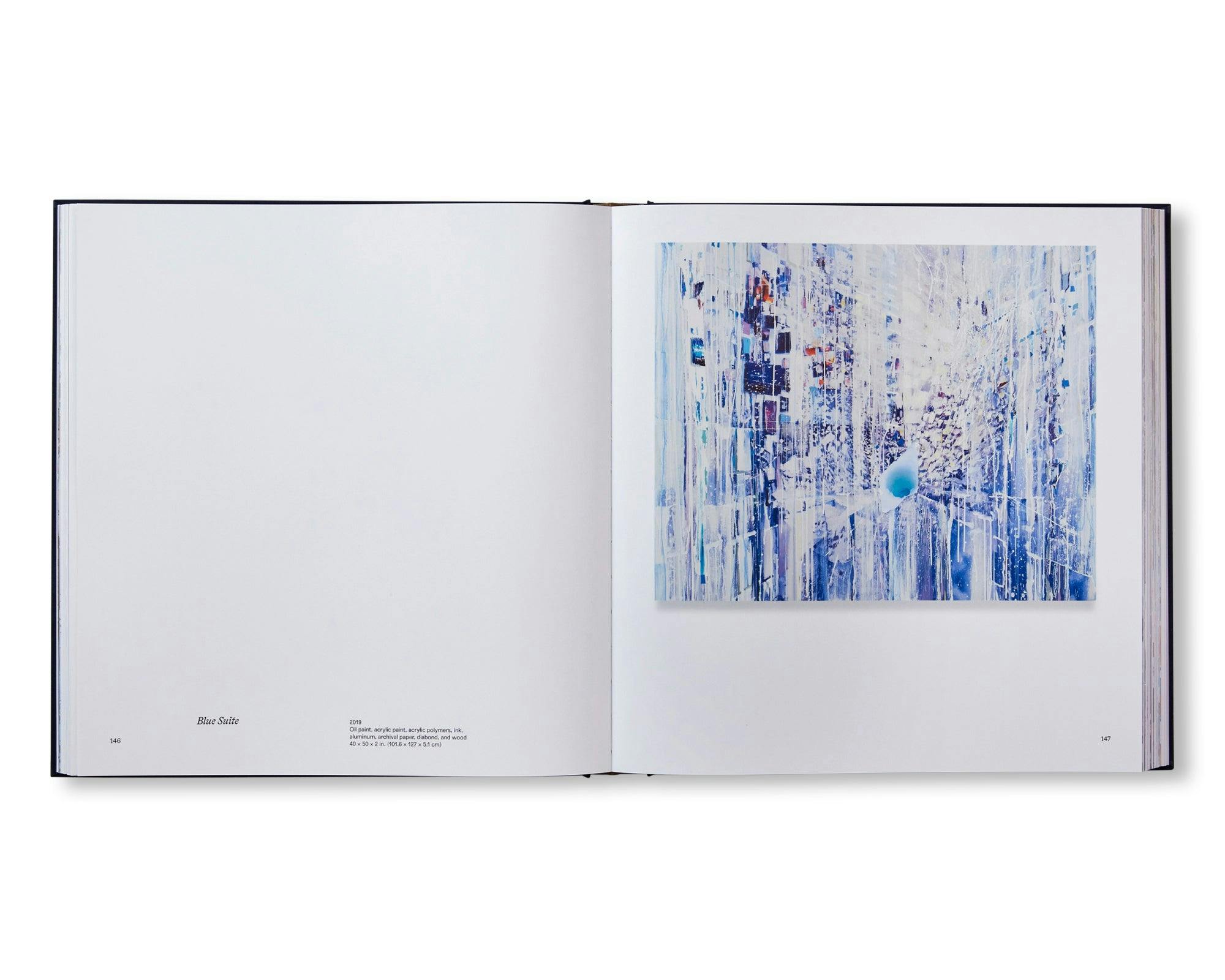 SARAH SZE 洋古書 サラ・ジー SARAH SZE 洋古書 作品集 サラ・ジー